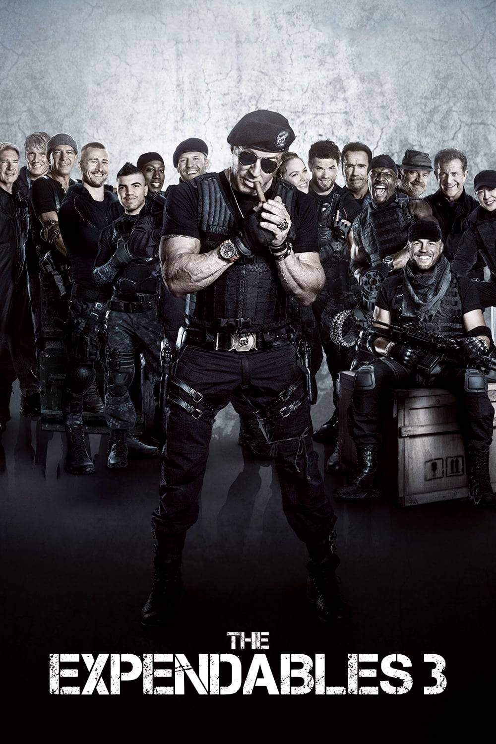 دانلود فیلم بی مصرف ها 3 The Expendables 3 2014