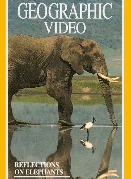 مستند فیل ها Reflections on Elephants 1994