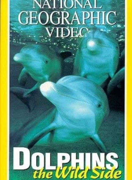 مستند دلفین های وحشی Dolphins: The Wild Side 1999