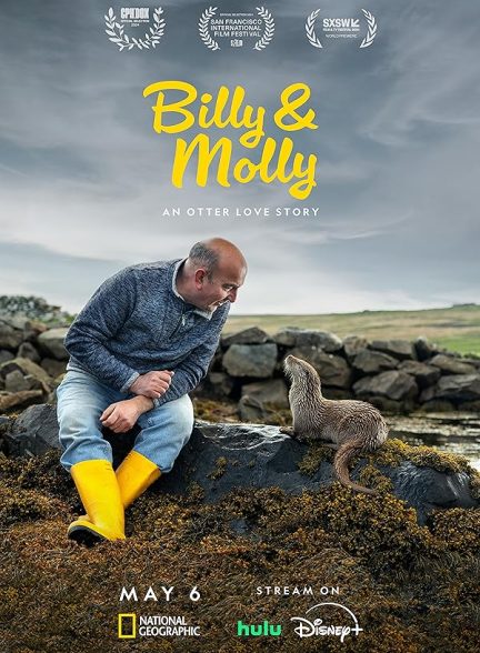 مستند بیلی و مولی Billy & Molly: An Otter Love Story 2024