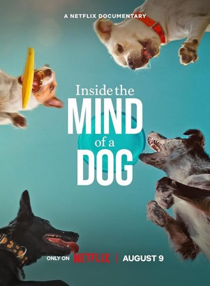 مستند درون ذهن یک سگ Inside the Mind of a Dog 2024